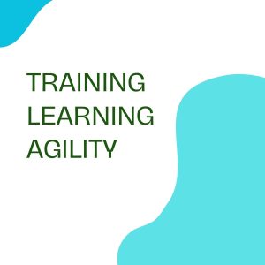 pelatihan LEARNING AGILITY online