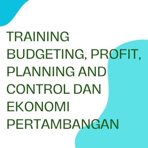 pelatihan BUDGETING, PROFIT, PALNNING AND CONTROL DAN EKONOMI PERTAMBANGAN di bandung