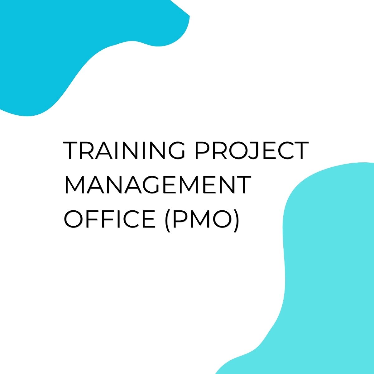 pelatihan PROJECT MANAGEMENT OFFICE PMO di bandung