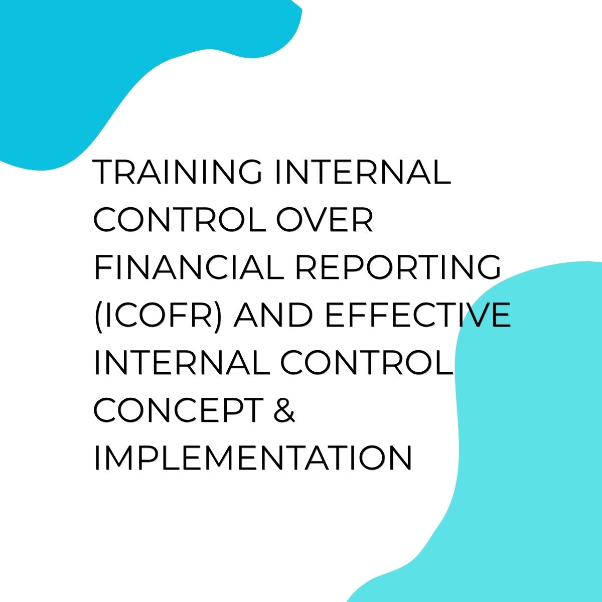 pelatihan INTERNAL CONTROL OVER FINANCIAL REPORTING (ICOFR) AND TRAINING EFFECTIVE INTERNAL CONTROL CONCEPT & IMPLEMENTATION di bandung