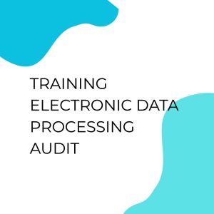 pelatihan Electronic Data Processing Audit di bandung